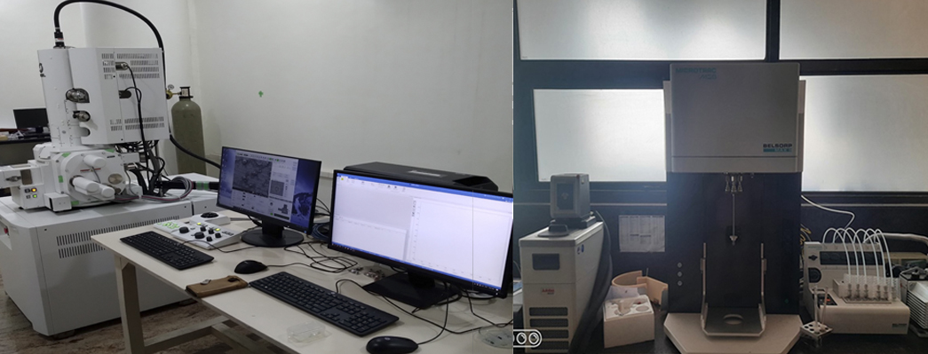 High-Resolution Scanning Electron Microscope with EDS and Surface Area (BET) Analyzer