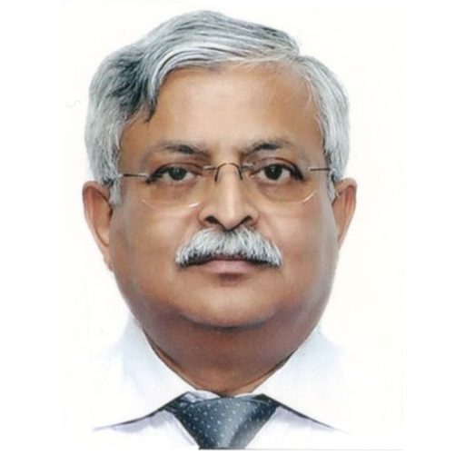 Dr Biswajit Roy