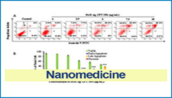Nanomedicine: