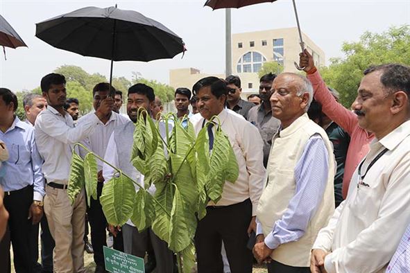 Inauguration of RGIPT - HAL Incubation and Skill Development Centre