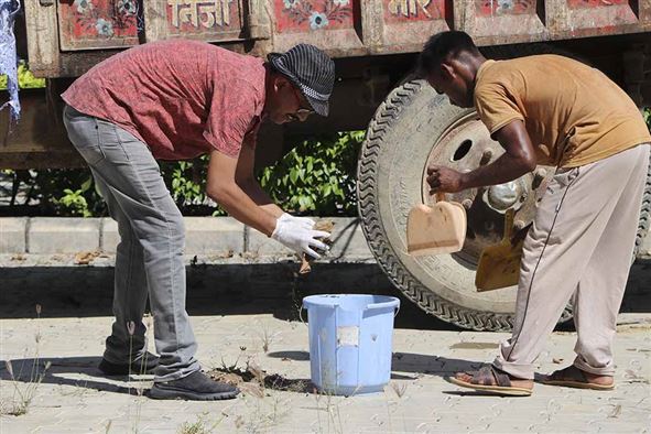 Swachhata Hi Seva event at RGIPT